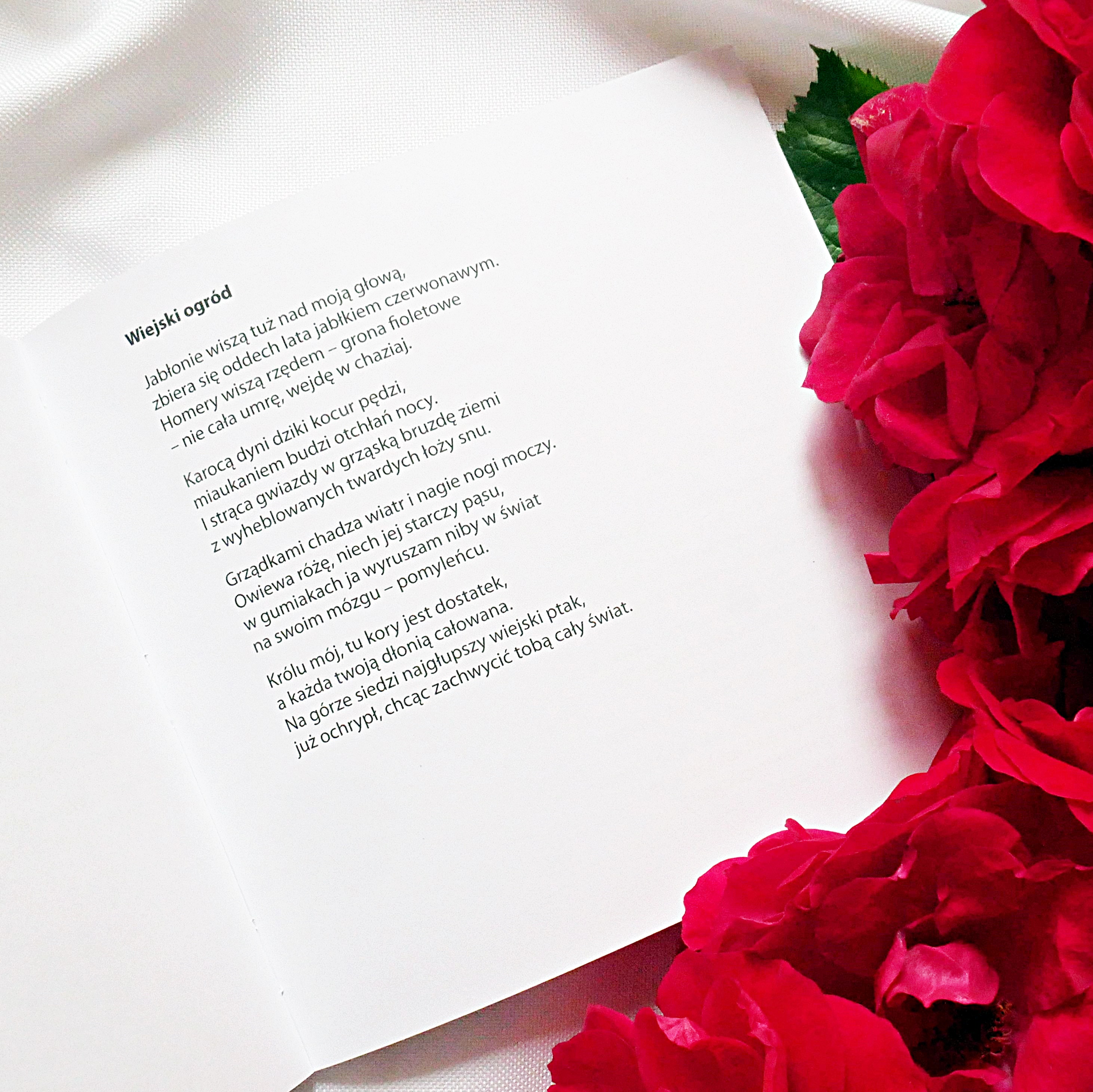 Wiersz „Wiejski ogród” – Elżbieta Juszczak „Pasterze dolin” Otwarty tomik poezji na stronie z wierszem „Wiejski ogród” w kompozycji z czerwonymi różami.