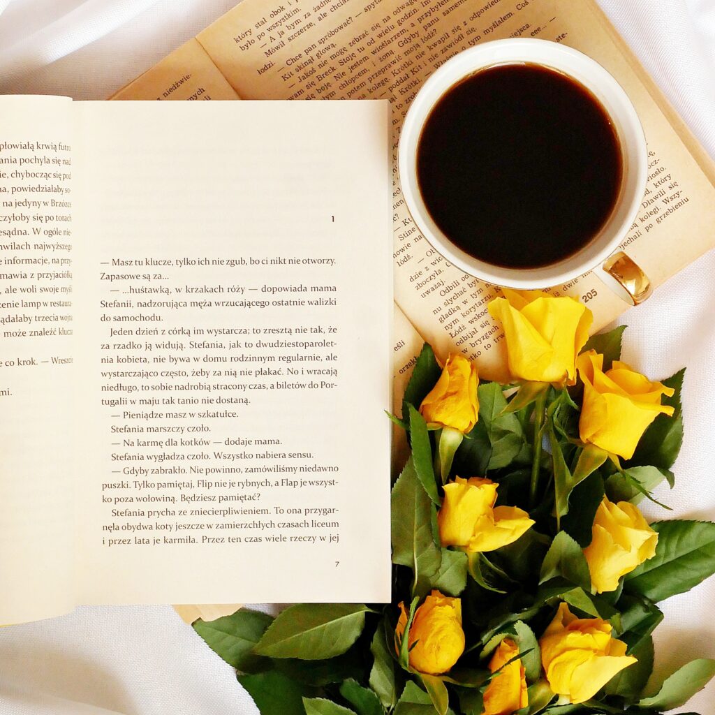 Wnętrze książki „Poradnik grzebania kotów” - Rozdział 1 Rozdział 1 książki „Poradnik grzebania kotów” Miki Modrzyńskiej