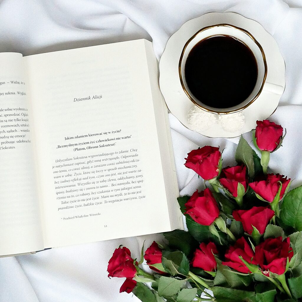 Fragment książki z rozdziału „Dziennik Alicji"” z cytatem Platona: „Bezmyślnym życiem żyć człowiekowi nie warto”.
