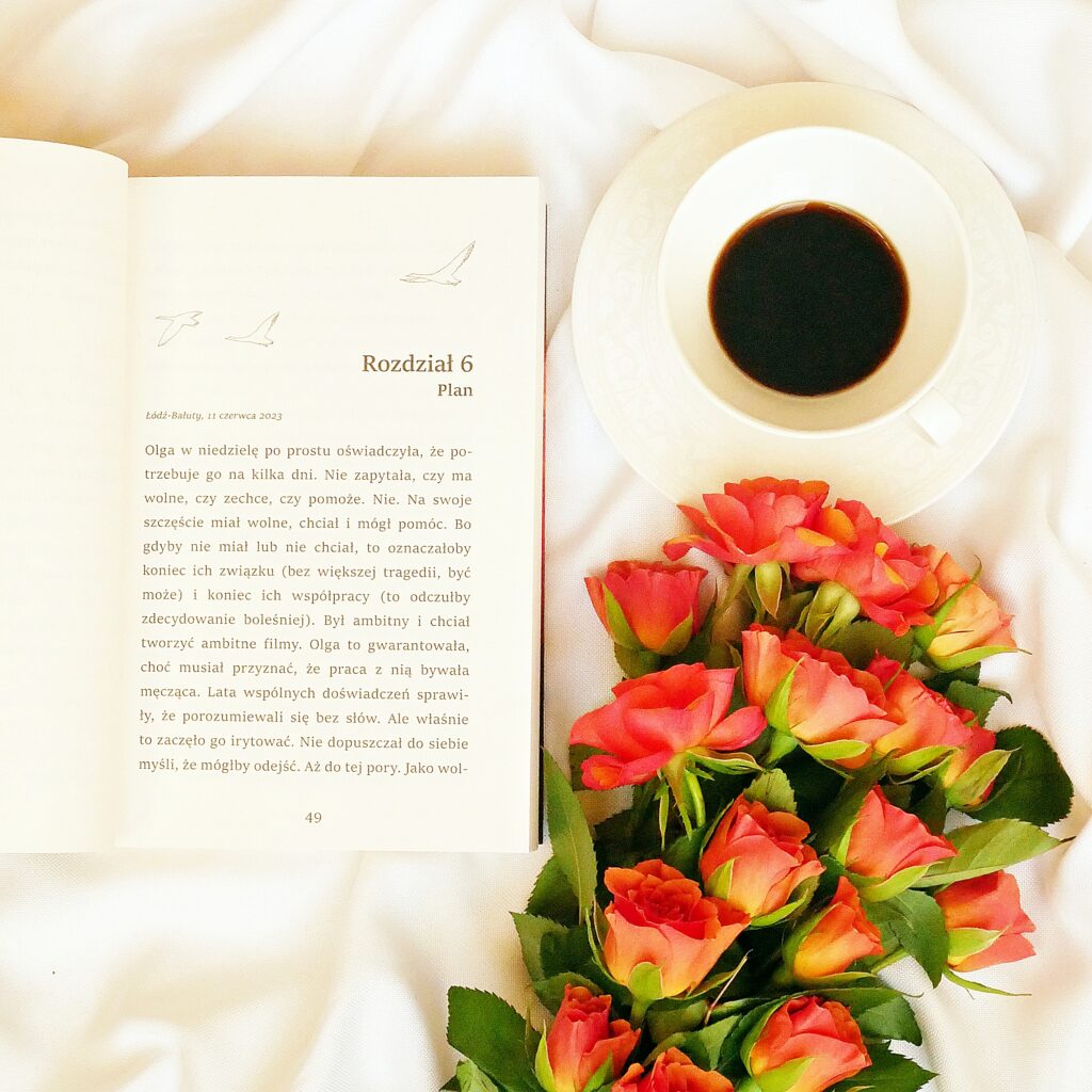 Rozdział 6 książki „Ułuda świtania” Izabelli Agaczewskiej