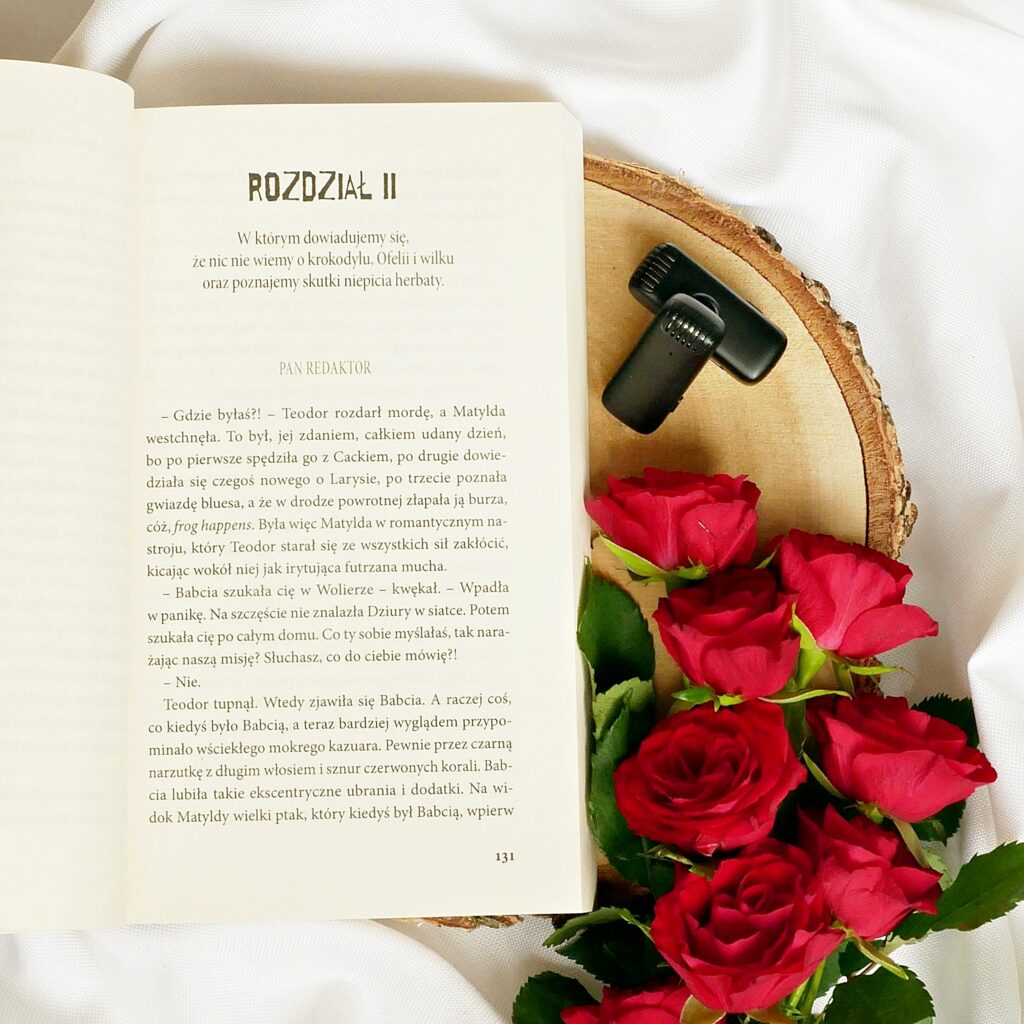 Rozdział 2 książki „Na ogonie złoczyńcy” Kariny Łagowskiej
