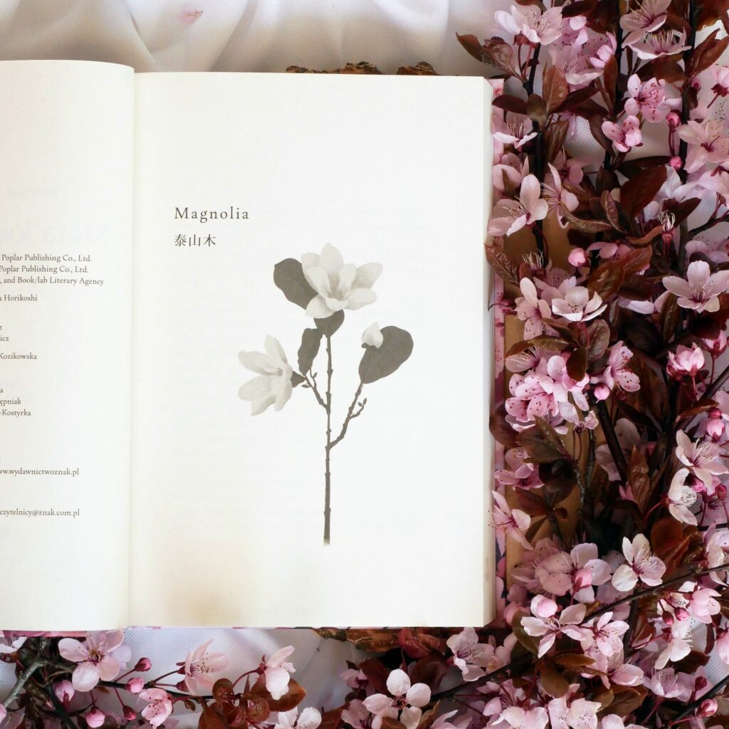 „Mała kwiaciarnia w Tokio” Yukihisa Yamamoto - ilustracja Magnolia Japońska ilustracja botaniczna magnolii wewnątrz otwartej książki „Mała kwiaciarnia w Tokio”.